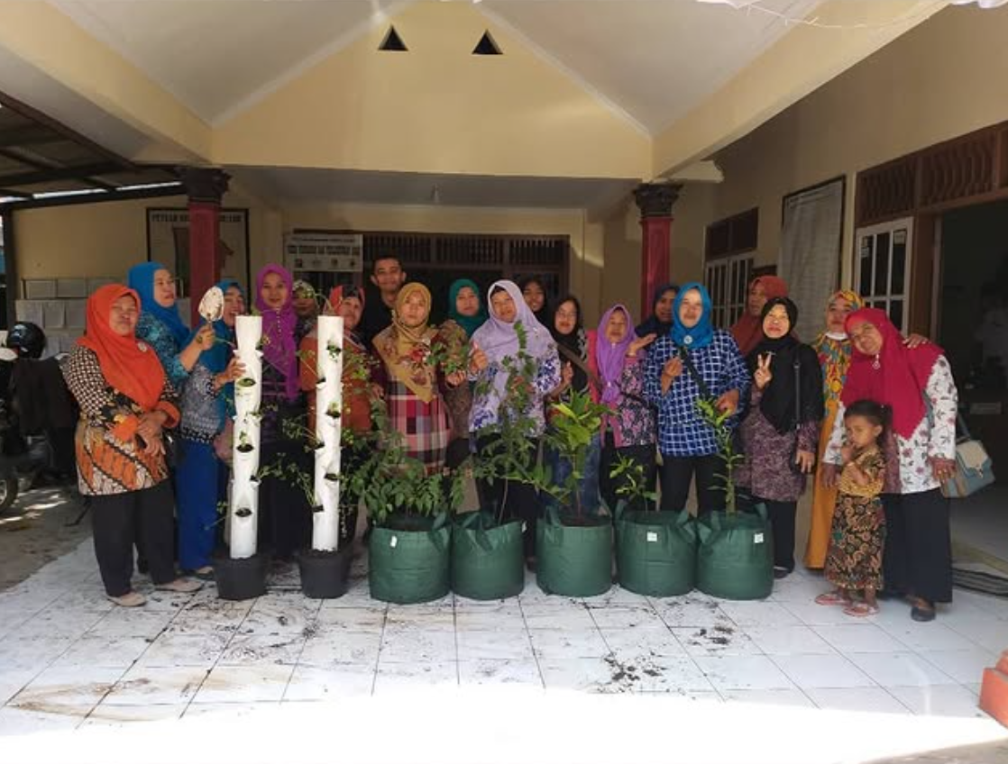 Pelatihan Hidroponik 3